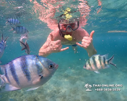 Underwater Odyssey snorkeling excursion Pattaya Thailand photo 11535