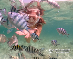 Underwater Odyssey snorkeling tour from Pattaya Thailand photo 18320