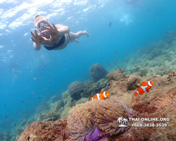 Underwater Odyssey snorkeling excursion Pattaya Thailand photo 11436