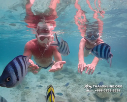 Underwater Odyssey snorkeling excursion Pattaya Thailand photo 14230