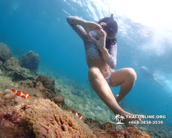 Underwater Odyssey snorkeling excursion Pattaya Thailand photo 11357