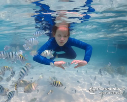 Underwater Odyssey snorkeling excursion in Pattaya Thailand photo 818