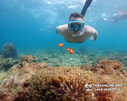 Underwater Odyssey snorkeling excursion Pattaya Thailand photo 11445