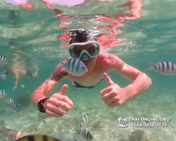 Underwater Odyssey snorkeling tour from Pattaya Thailand photo 18266