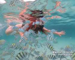 Underwater Odyssey snorkeling excursion in Pattaya Thailand photo 18