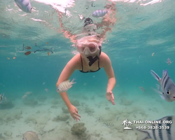 Underwater Odyssey snorkeling excursion in Pattaya Thailand photo 243