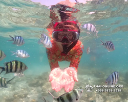 Underwater Odyssey snorkeling excursion Pattaya Thailand photo 14830