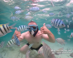 Underwater Odyssey snorkeling excursion in Pattaya Thailand photo 82