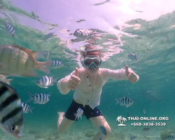 Underwater Odyssey snorkeling tour from Pattaya Thailand photo 18480