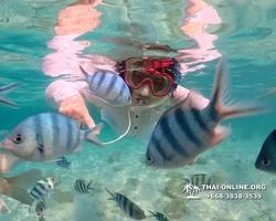 Underwater Odyssey snorkeling tour from Pattaya Thailand photo 14355