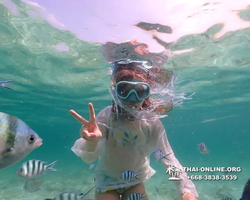 Underwater Odyssey snorkeling tour from Pattaya Thailand photo 18570