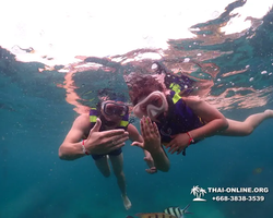 Underwater Odyssey snorkeling excursion in Pattaya Thailand photo 131