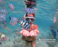 Underwater Odyssey snorkeling tour from Pattaya Thailand photo 14309