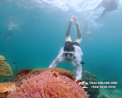 Underwater Odyssey snorkeling tour from Pattaya Thailand photo 18595