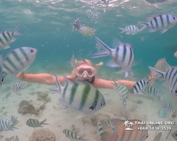 Underwater Odyssey snorkeling excursion in Pattaya Thailand photo 212