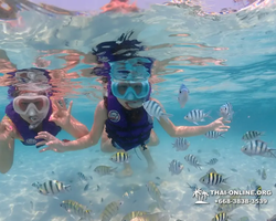 Underwater Odyssey snorkeling excursion in Pattaya Thailand photo 773