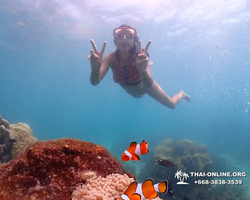 Underwater Odyssey snorkeling excursion in Pattaya Thailand photo 541