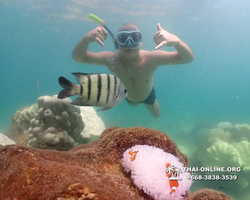 Underwater Odyssey snorkeling excursion Pattaya Thailand photo 19357