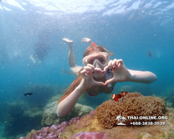 Underwater Odyssey snorkeling excursion Pattaya Thailand photo 11561