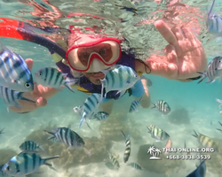 Underwater Odyssey snorkeling excursion Pattaya Thailand photo 19238