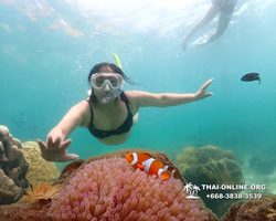 Underwater Odyssey snorkeling tour from Pattaya Thailand photo 18462