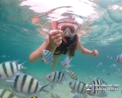 Underwater Odyssey snorkeling excursion in Pattaya Thailand photo 179