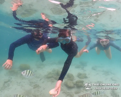 Underwater Odyssey snorkeling excursion in Pattaya Thailand photo 217