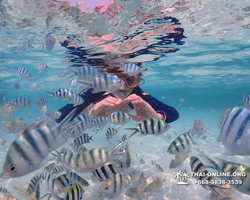 Underwater Odyssey snorkeling excursion in Pattaya Thailand photo 606