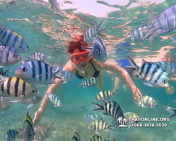 Underwater Odyssey snorkeling excursion Pattaya Thailand photo 11536