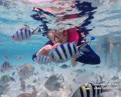 Underwater Odyssey snorkeling excursion in Pattaya Thailand photo 699