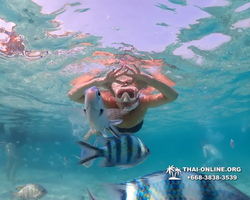 Underwater Odyssey snorkeling excursion Pattaya Thailand photo 10994