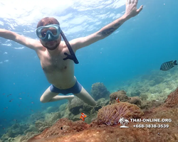 Underwater Odyssey snorkeling excursion Pattaya Thailand photo 11342