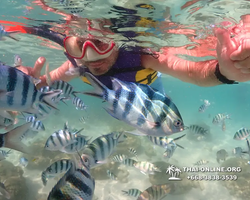 Underwater Odyssey snorkeling excursion Pattaya Thailand photo 19041