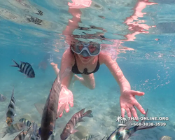 Underwater Odyssey snorkeling excursion Pattaya Thailand photo 14215