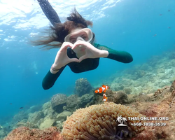 Underwater Odyssey snorkeling excursion Pattaya Thailand photo 11346