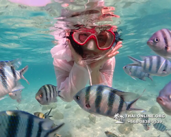 Underwater Odyssey snorkeling excursion Pattaya Thailand photo 14207