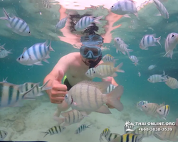 Underwater Odyssey snorkeling excursion in Pattaya Thailand photo 192