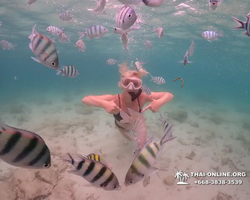 Underwater Odyssey snorkeling excursion in Pattaya Thailand photo 235