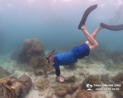 Underwater Odyssey snorkeling excursion in Pattaya Thailand photo 299