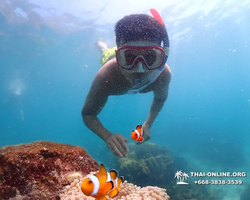 Underwater Odyssey snorkeling excursion in Pattaya Thailand photo 514