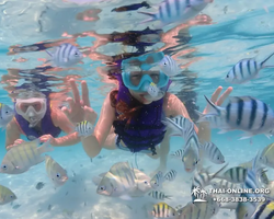 Underwater Odyssey snorkeling excursion in Pattaya Thailand photo 802