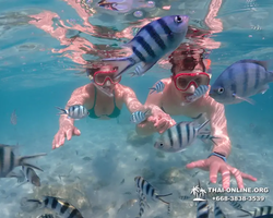 Underwater Odyssey snorkeling excursion in Pattaya Thailand photo 463