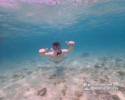 Underwater Odyssey snorkeling excursion Pattaya Thailand photo 11118