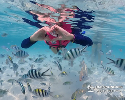 Underwater Odyssey snorkeling excursion in Pattaya Thailand photo 711