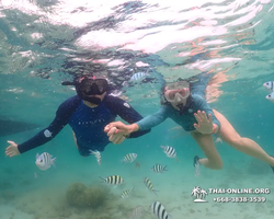 Underwater Odyssey snorkeling excursion in Pattaya Thailand photo 21