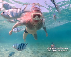 Underwater Odyssey snorkeling excursion Pattaya Thailand photo 11229
