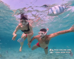 Underwater Odyssey snorkeling excursion Pattaya Thailand photo 11040
