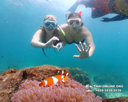 Underwater Odyssey snorkeling excursion Pattaya Thailand photo 14887