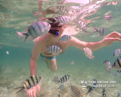 Underwater Odyssey snorkeling tour from Pattaya Thailand photo 18312