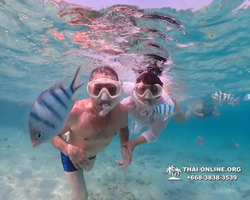 Underwater Odyssey snorkeling excursion Pattaya Thailand photo 11094